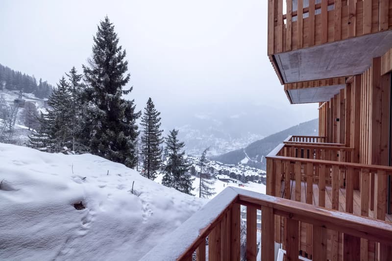 Dernières opportunités -  skis au pieds et charme contemporains (3)