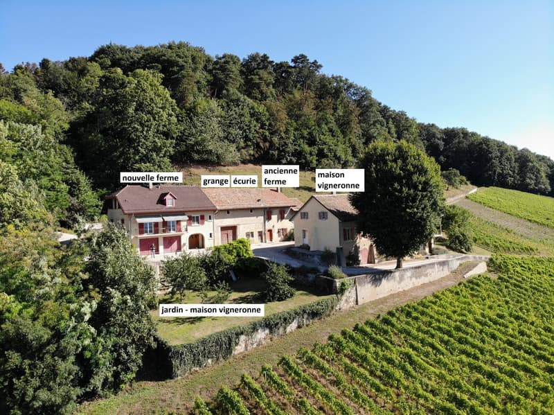 1184 Luins - Domaine viticole avec forêt, vue imprenable lac (3)
