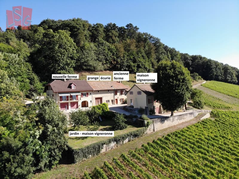 Luins, Domaine viticole avec forêt, vue imprenable lac (2)