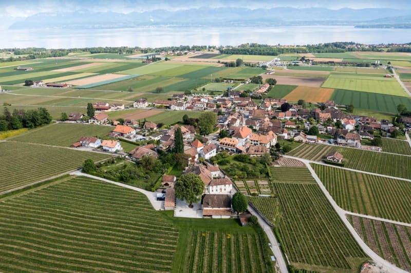 Somptueux château du XIIIe siècle avec domaine viticole (2)