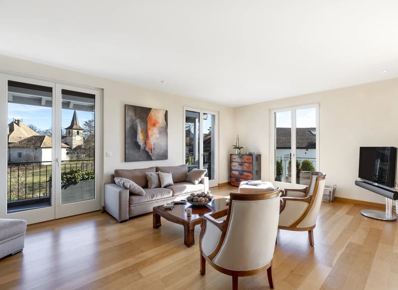 Magnifique appartement proche de Nyon (3)