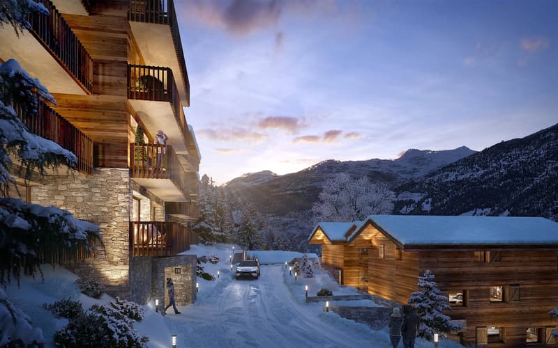 Résidence secondaire - Appartement B201, Grimentz (5)