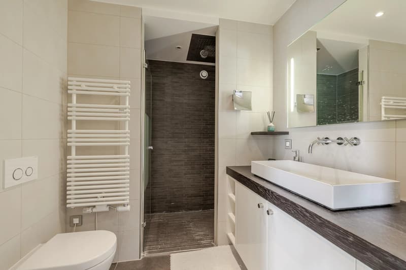 Exclusivité - Superbe attique contemporain au coeur de Saint-Jean (6)