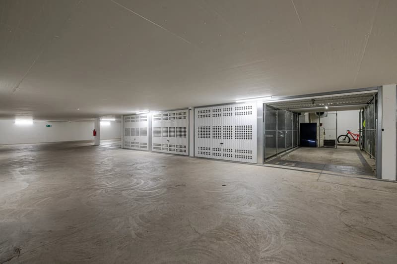 Exclusivité - Superbe attique contemporain au coeur de Saint-Jean (10)