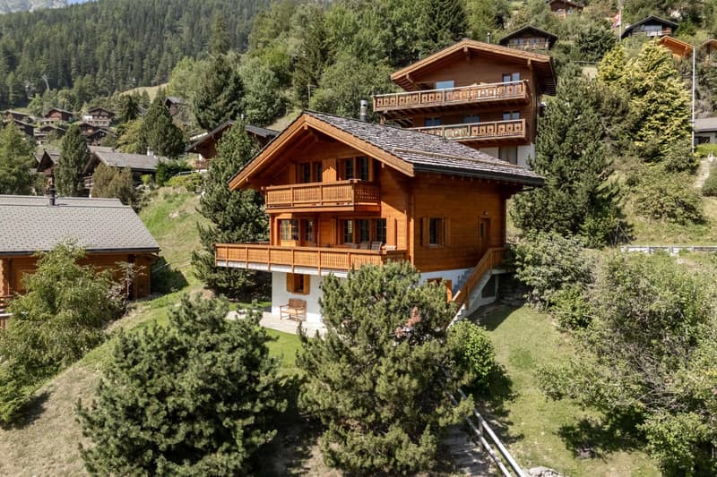 Un cocon alpin au coeur de Grimentz (1)