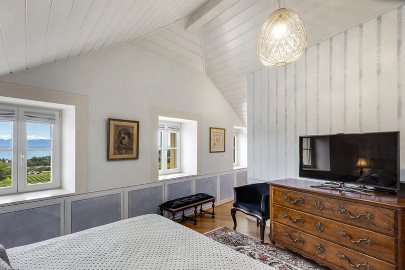Magnifique appartement de caractère (3)