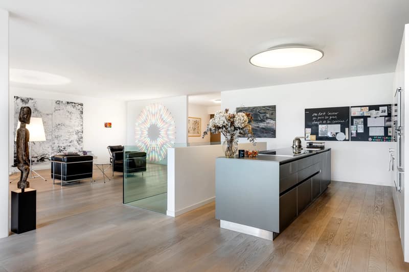 Grand appartement avec vue à Corsier (5)