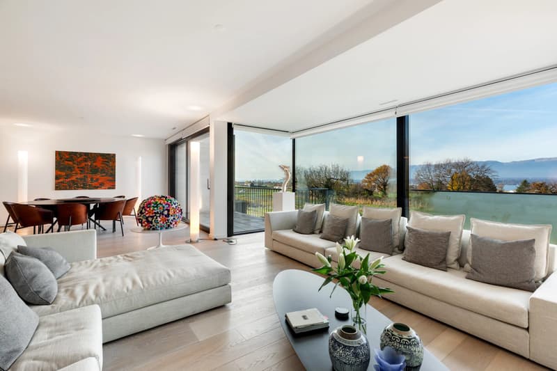 Grand appartement avec vue à Corsier (2)