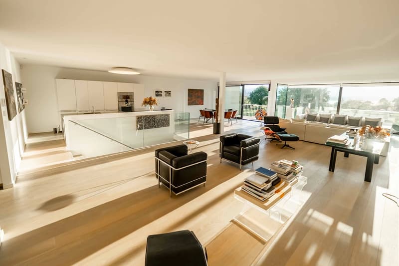 Grand appartement avec vue à Corsier (1)