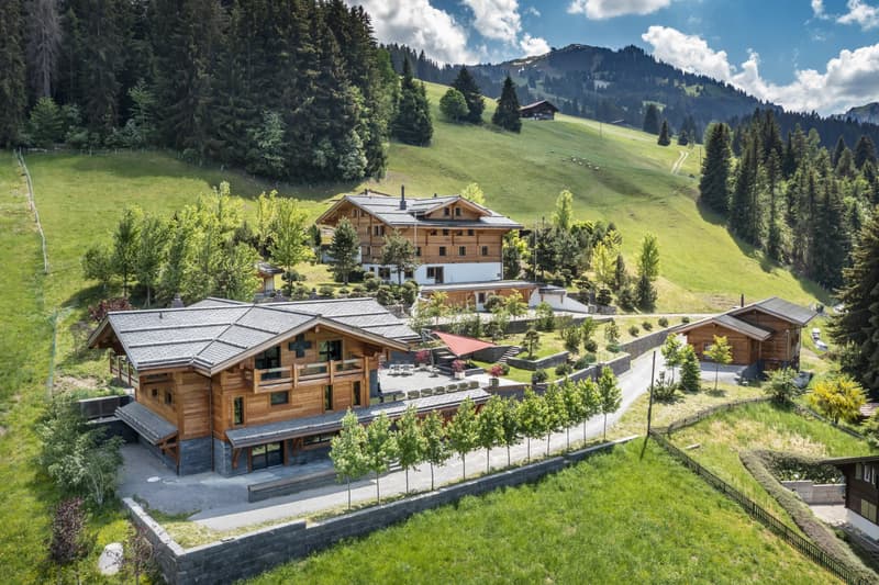 Propriété alpine d'exception (2)