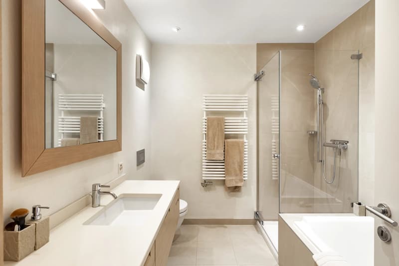 Magnifique appartement proche de Nyon (9)
