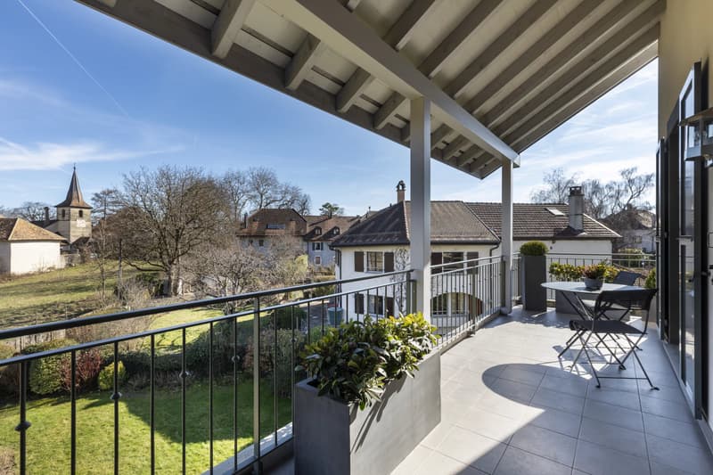Magnifique appartement proche de Nyon (2)
