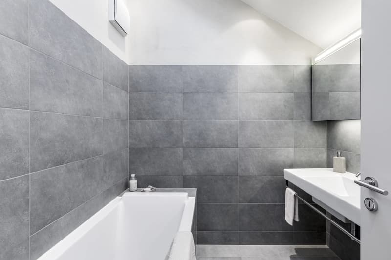 Magnifique appartement proche de Nyon (10)