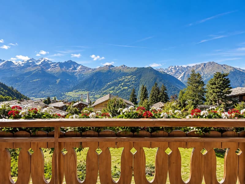 Beau chalet sur grand parcelle (2)