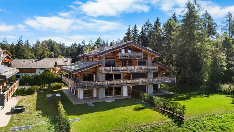 Elégant rez-de-jardin à Crans-Montana (1)