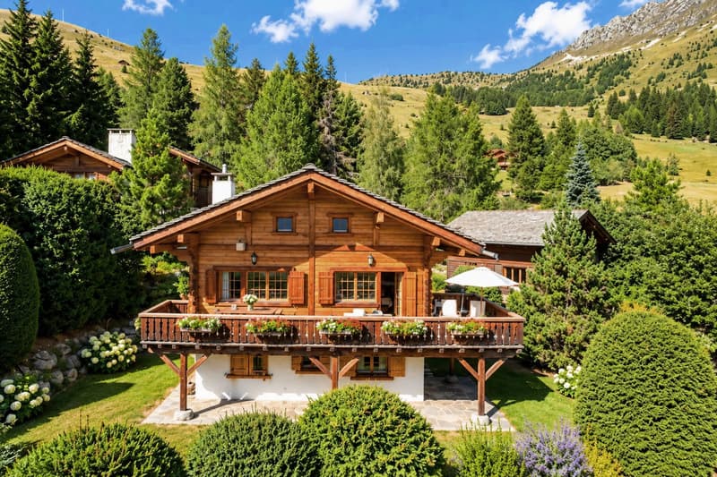 Magnifique Chalet en semi-exclusivité (1)