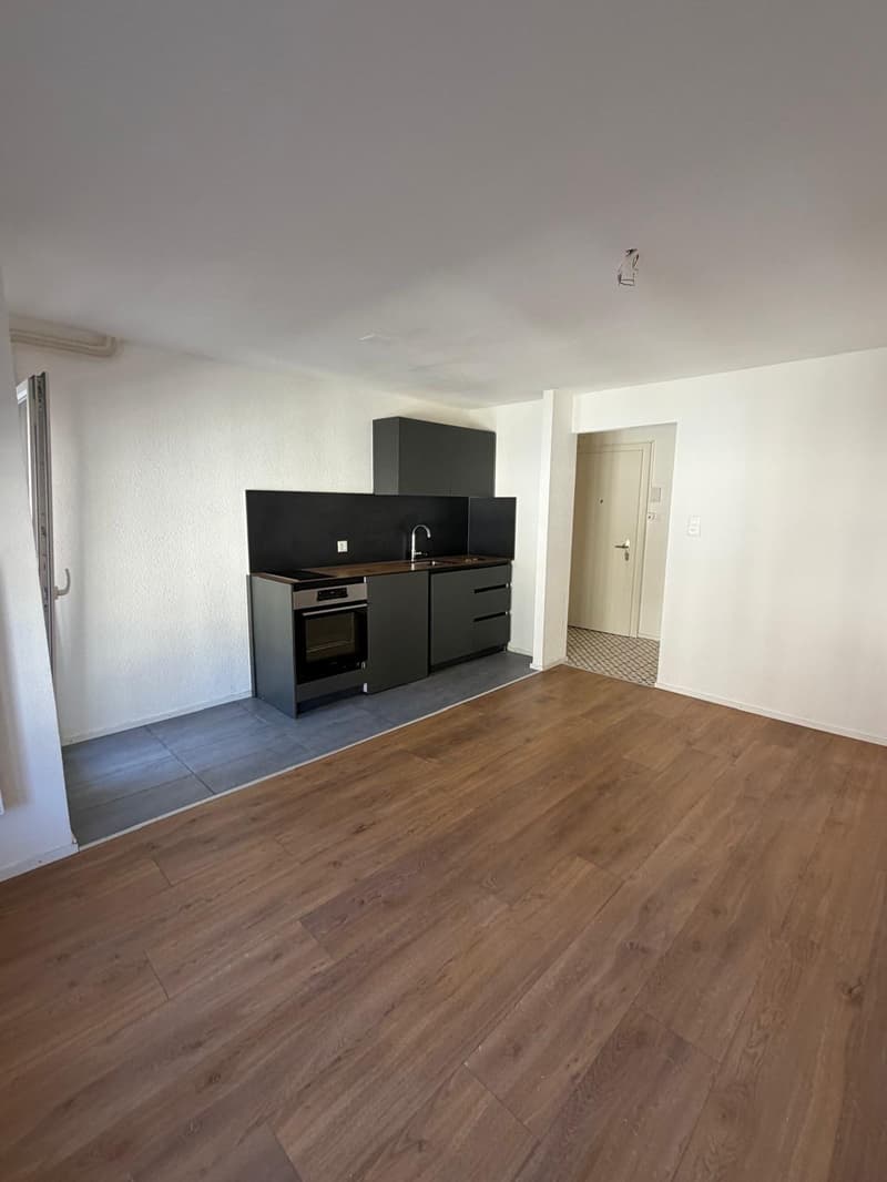 Appartement de 1,5 pièces dans le centre de Neuchâtel (2)