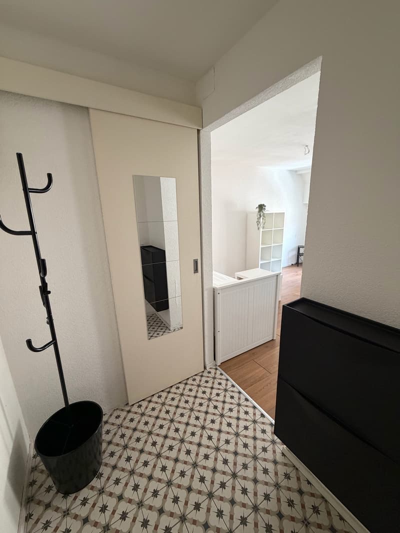 Appartement de 1,5 pièces dans le centre de Neuchâtel (6)