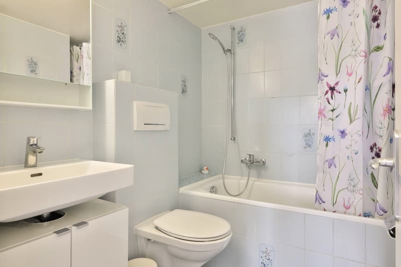 Appartement de 1,5 pièces meublé (6)