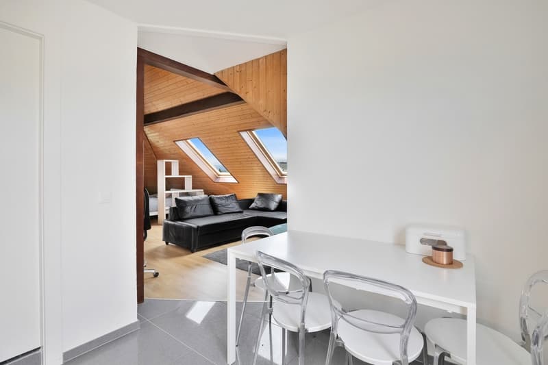 Appartement de 1,5 pièces meublé (5)