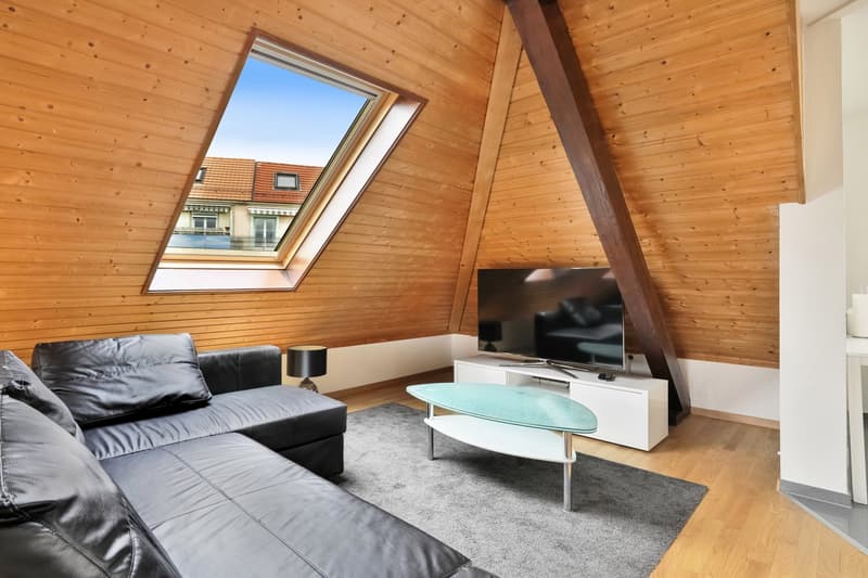 Appartement de 1,5 pièces meublé (3)