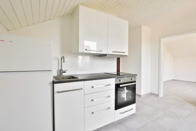 Appartement 1,5 pièces rénové à proximité de l'EPFL (4)