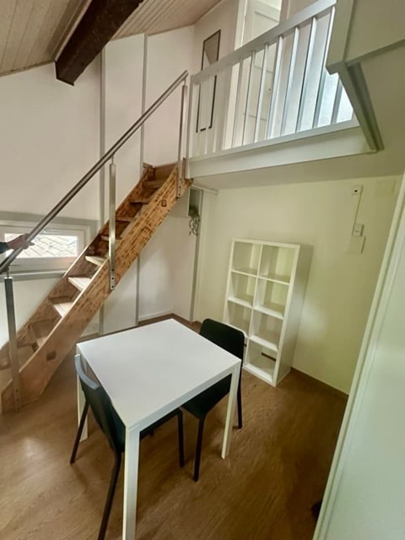 En plein centre de Neuchâtel, appartement meublé en mezzanine (3)