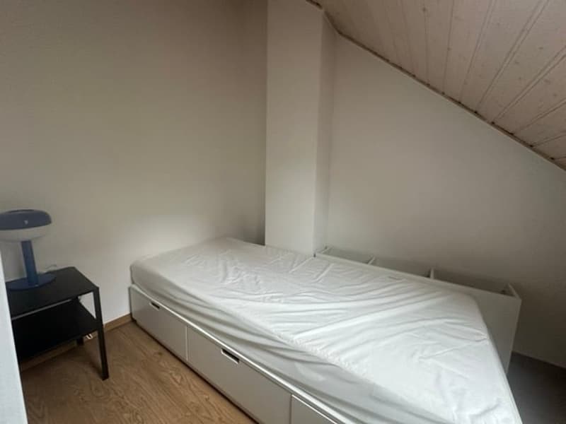 En plein centre de Neuchâtel, appartement meublé en mezzanine (4)