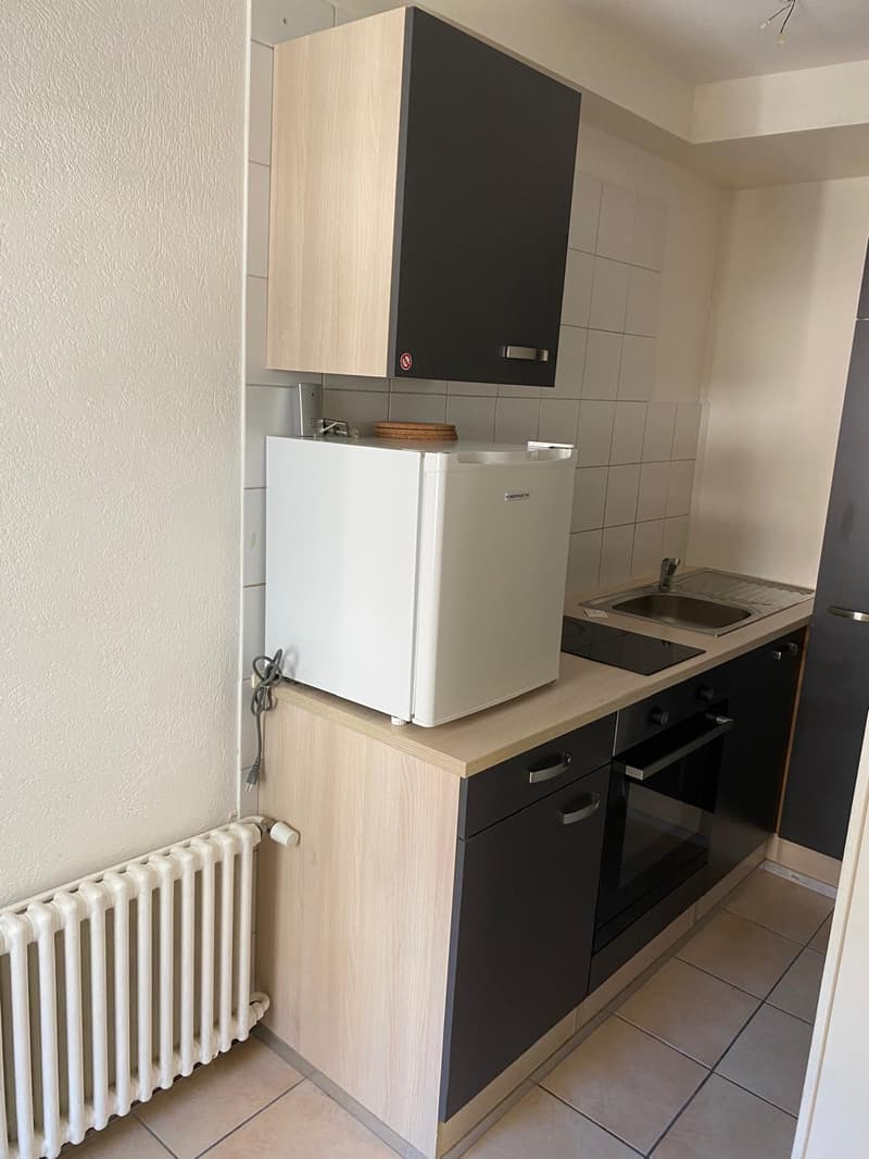 Appartement de 1,5 pièces meublé au centre de Neuchatel (3)