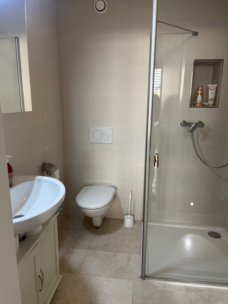 Joli appartement avec grande terrasse centre de Rolle, immeuble neuf (7)