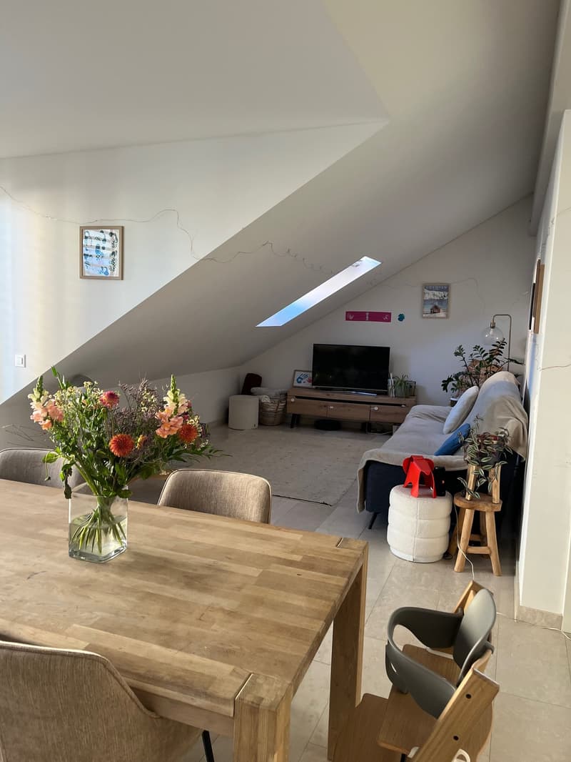 Joli appartement avec grande terrasse centre de Rolle, immeuble neuf (2)