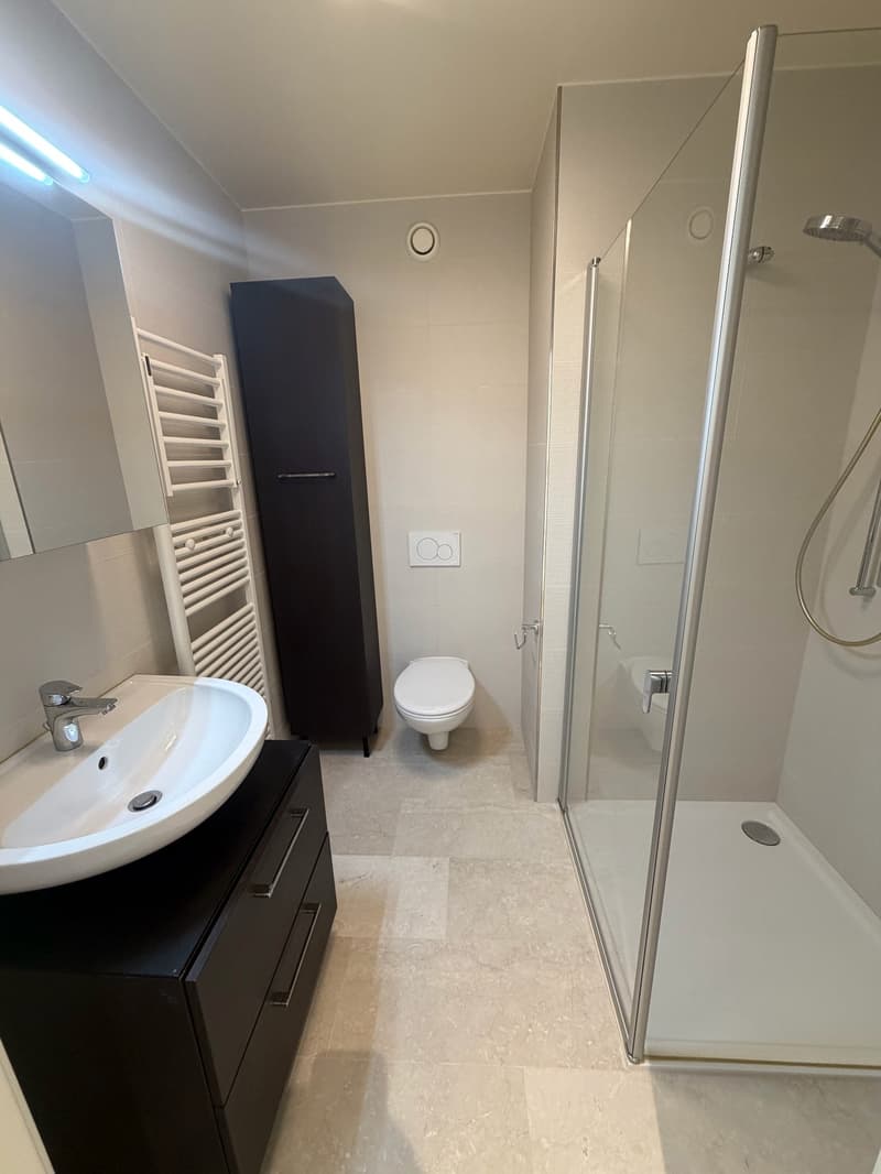 Appartement lumineux de 3.5 pièces avec terrasse à Rolle (10)