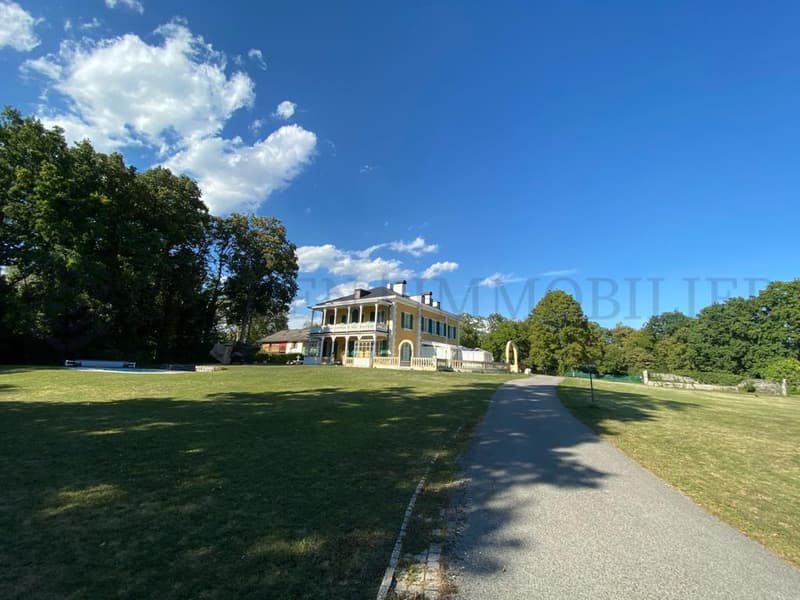Somptueuse maison de maître du XIXème siècle (2)