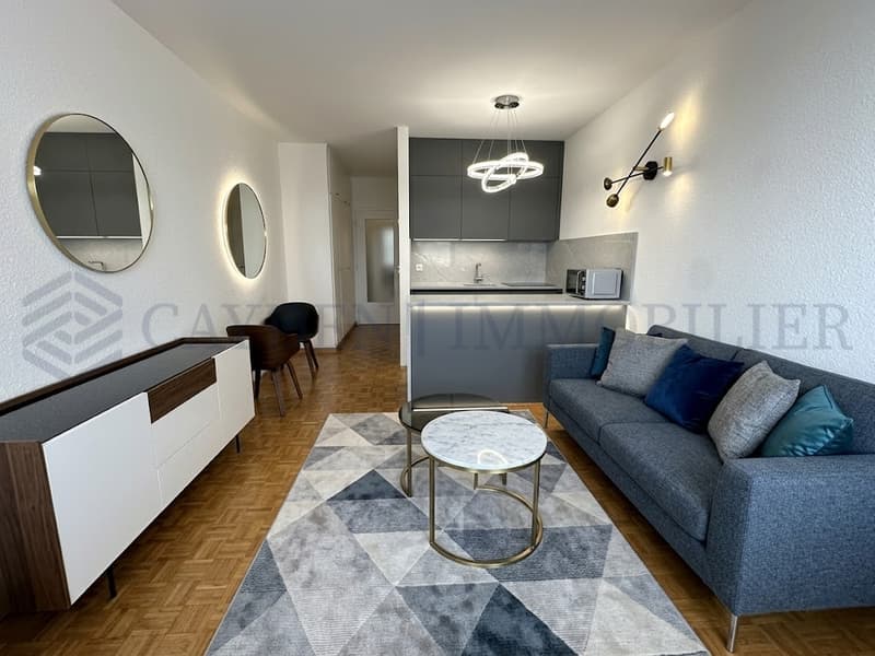 Exclusivité !! Studio avec vue sur le lac (2)