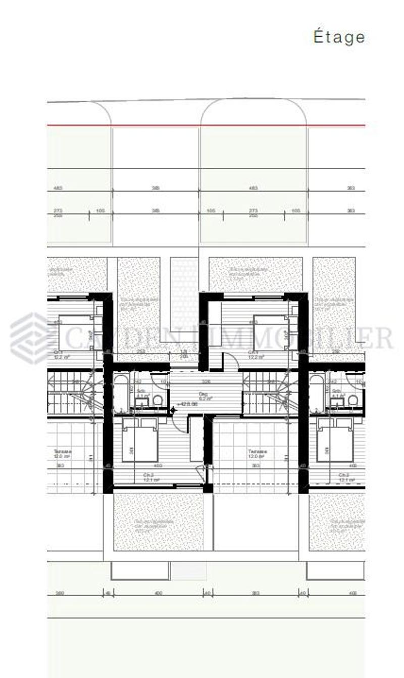 Villa D : Villa neuve contemporaine HPE à Veyrier (11)