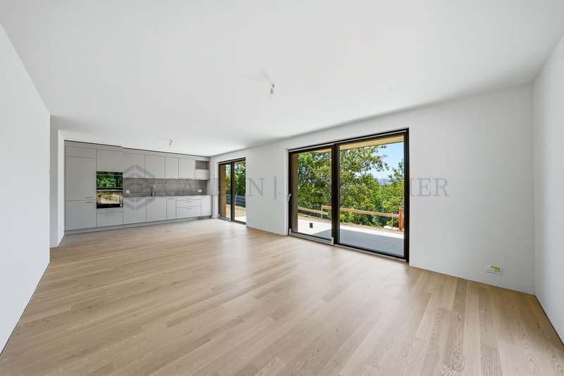 4 PIèces rez-de-jardin vue magnifique ( Rez inférieur) - Lot 2.01 (2)