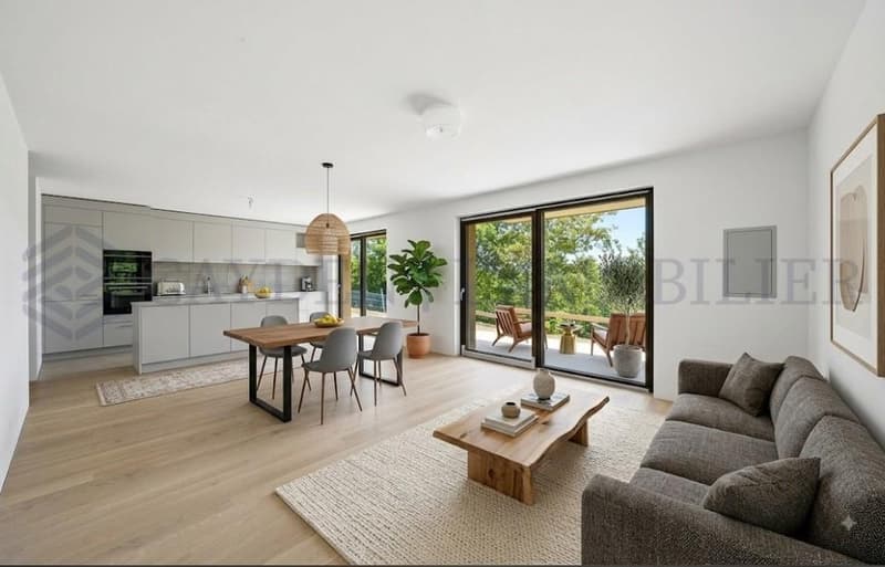 4 PIèces rez-de-jardin vue magnifique ( Rez inférieur) - Lot 2.01 (2)