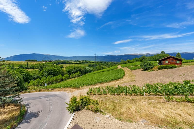 5 PIèces - 1er étage - Lot 4.02 (2)