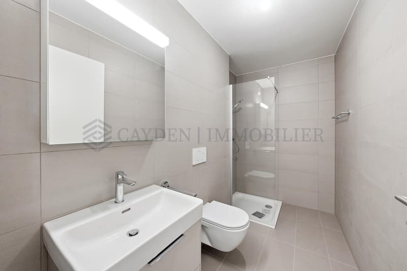 5 PIèces rez-de-jardin (Rez inférieur) - Lot 2.02 (7)