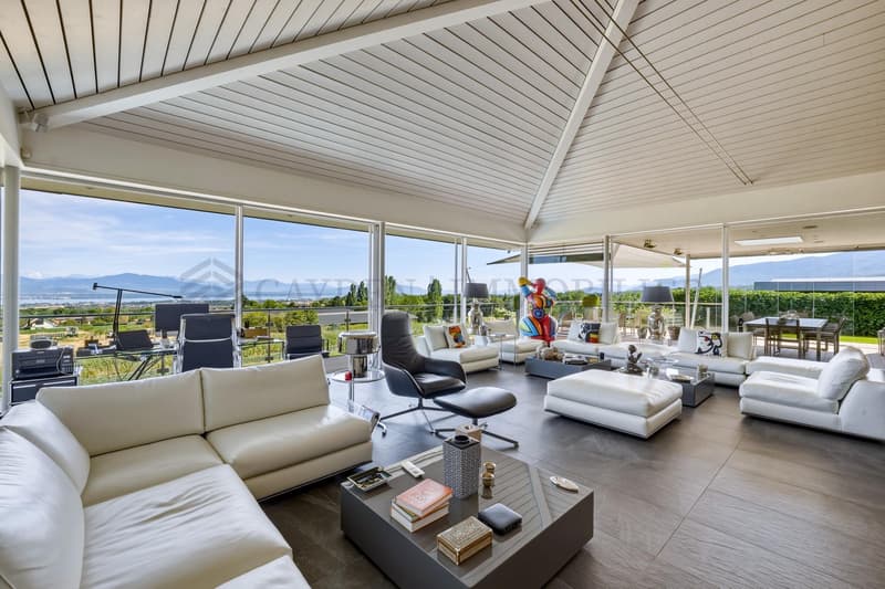 EN EXCLUSIVITE - Villa contemporaine, vue lac imprenable (2)