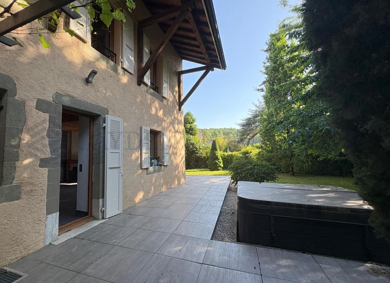 Belle maison de village superbement rénovée (5)