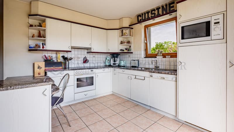 Ensemble de 2 villas sur plus de 1000 m2 (4)