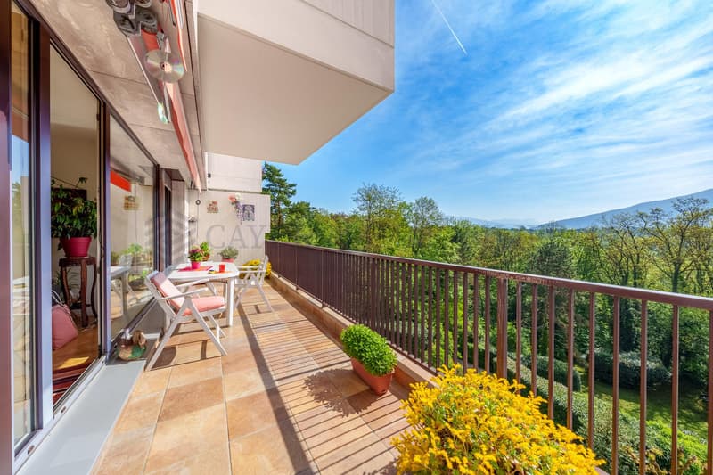 Exclusivité ! Superbe 5 pièces traversant avec vue dégagée ! (1)