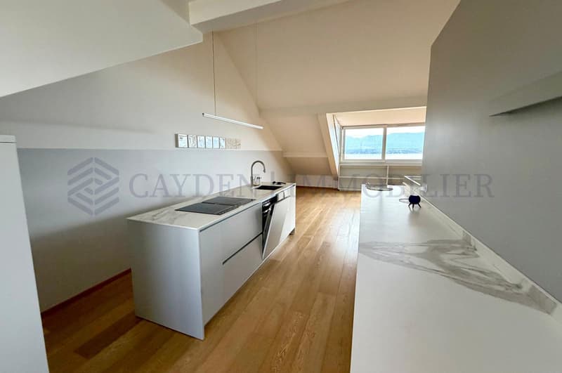 Sublime duplex rénové vue imprenable sur le lac Léman (3)