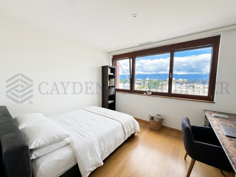 Superbe attique 5 pièces à Carouge - Opportunité rare (10)
