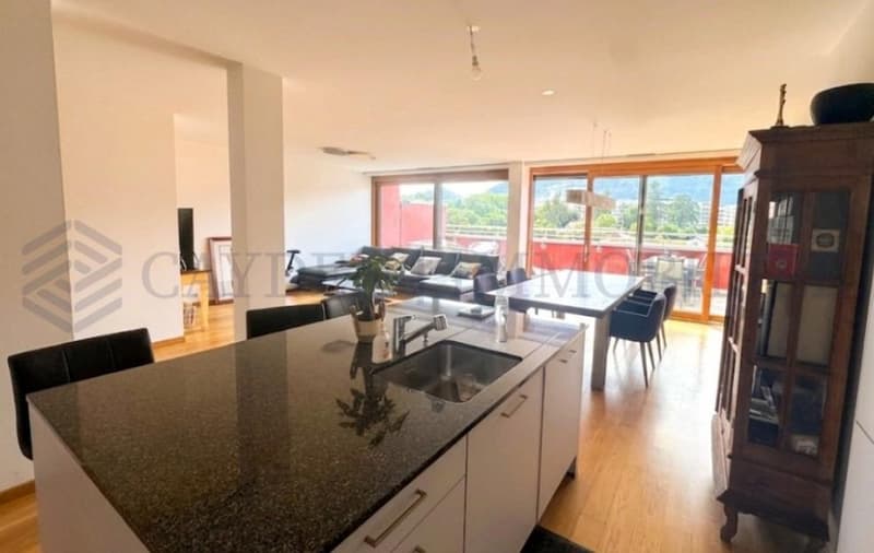 Superbe attique 5 pièces à Carouge - Opportunité rare (3)