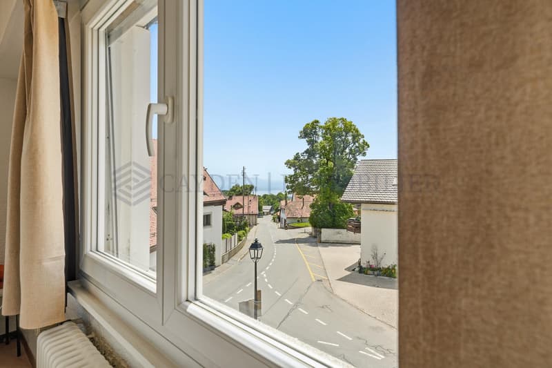 EN EXCLUSIVITE - Charmant attique avec vue lac et Mont-Blanc (8)