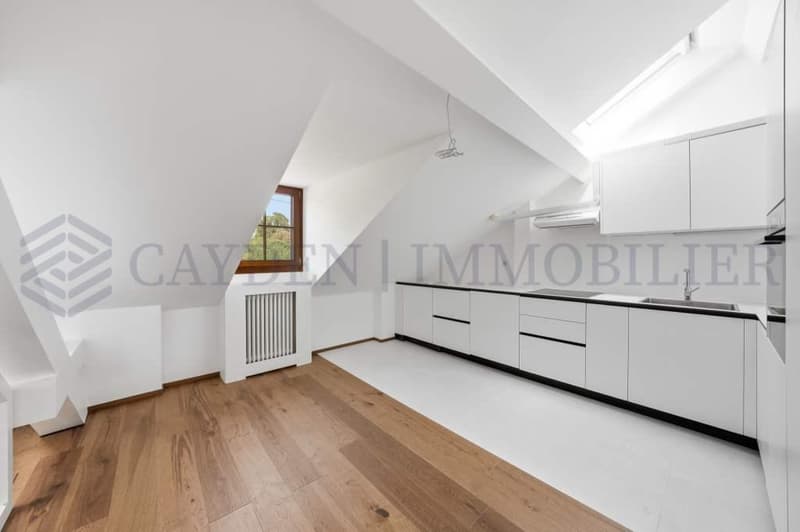 Exclusivité !!!! Bel appartement entièrement rénové dans une bâtisse de charme. (3)
