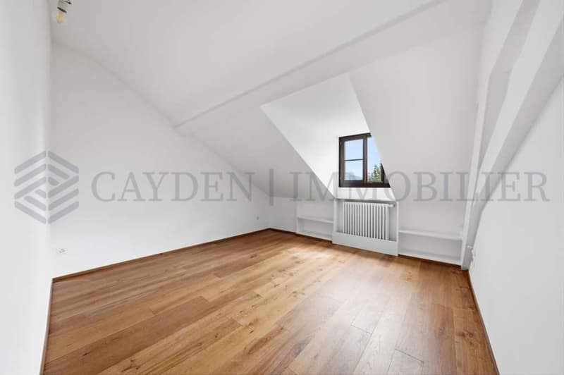 Exclusivité !!!! Bel appartement entièrement rénové dans une bâtisse de charme. (7)