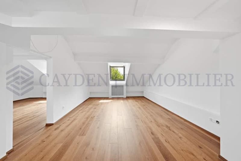 Exclusivité !!!! Bel appartement entièrement rénové dans une bâtisse de charme. (5)
